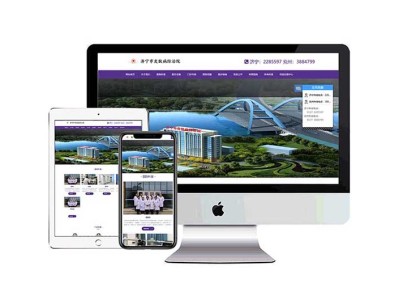济宁市皮肤病防治院网站建设项目